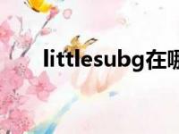 littlesubg在哪直播（littlesubgirl）