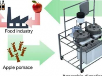 用苹果汁生产废料生产的沼气可以最大限度地减少工业中化石燃料的使用