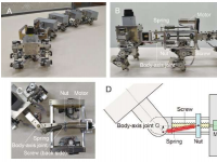 团队开发出具有可变体轴灵活性的蜈蚣机器人