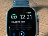 2023年7月最佳AppleWatch表带
