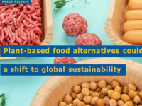 植物性食品替代品可以支持全球可持续发展的转变