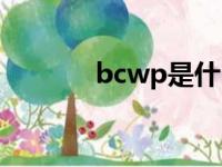 bcwp是什么的缩写（bcwp）