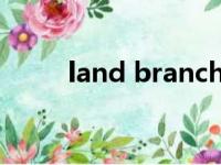 land branching（land branch）