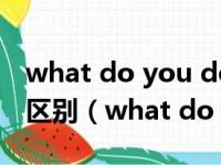 what do you do和what are you doing的区别（what do you do）