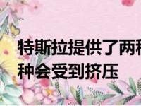 特斯拉提供了两种新的Model Y选项 其中一种会受到挤压