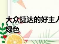 大众捷达的好主人决定为企鹅之类的东西加点绿色