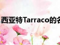 西亚特Tarraco的名称确认用于新型大型SUV