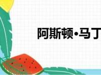 阿斯顿·马丁否认重返6缸发动机