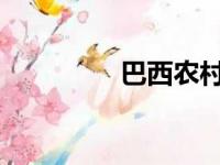 巴西农村学校缺乏连通性