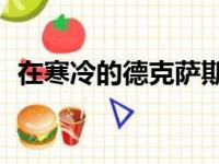 在寒冷的德克萨斯州为特斯拉充电900美元