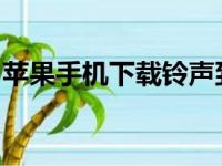 苹果手机下载铃声到手机教程：详细步骤指南