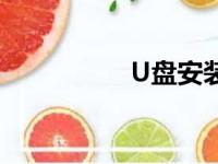 U盘安装XP系统全攻略