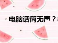 电脑话筒无声？轻松设置解决音频问题！