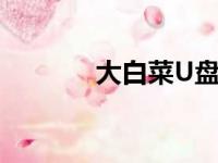 大白菜U盘装机快速入门教程