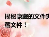 揭秘隐藏的文件夹恢复技巧，轻松找回你的隐藏文件！
