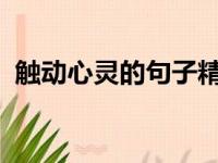 触动心灵的句子精选：温暖人心，感悟生活