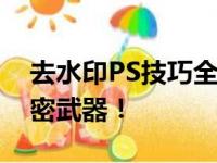 去水印PS技巧全解析：打造无瑕疵图片的秘密武器！
