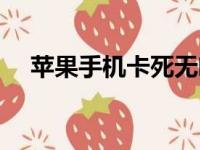 苹果手机卡死无响应？这里有解决方案！