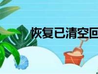 恢复已清空回收站文件的方法指南