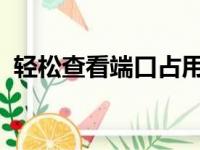 轻松查看端口占用情况，解决端口冲突问题