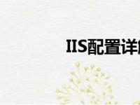 IIS配置详解：从入门到精通