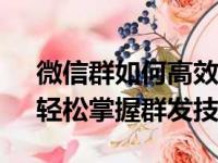 微信群如何高效群发消息？——图文教程，轻松掌握群发技巧