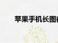 苹果手机长图截图的技巧与操作指南