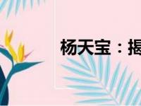 杨天宝：揭秘成功背后的故事