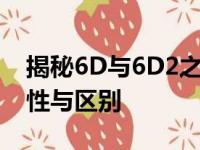 揭秘6D与6D2之间的差异：深入了解两者特性与区别