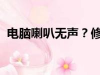 电脑喇叭无声？修复指南带你轻松解决问题