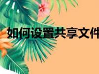如何设置共享文件夹：详细步骤与操作指南