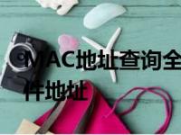 MAC地址查询全攻略：轻松获取你的电脑硬件地址
