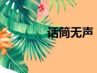 话筒无声？设置解决全攻略