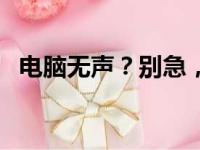 电脑无声？别急，一步步来恢复音频功能！