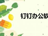 钉钉办公软件全方位功能解析