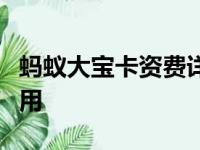 蚂蚁大宝卡资费详解：让你明晰了解每一项费用