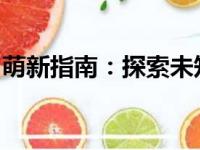萌新指南：探索未知领域，成为新领域的专家