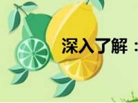 深入了解：QLV格式是什么？