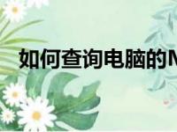 如何查询电脑的MAC地址？详细步骤解析