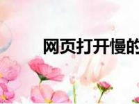 网页打开慢的原因分析及解决策略