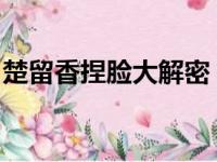 楚留香捏脸大解密：独家教程与绝美脸型分享