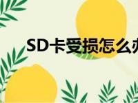 SD卡受损怎么办？修复与维护全攻略！