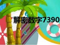 解密数字7390：探寻背后隐藏的奥秘