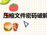 压缩文件密码破解大师：风险与警示的探究