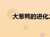 大葱鸭的进化之旅：揭秘生长与变化
