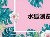 水狐浏览器中文设置教程