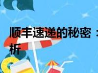 顺丰速递的秘密：单号查询与追踪的全方位解析