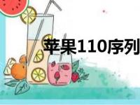 苹果110序列号查询——详细指南