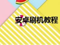 安卓刷机教程：一步步教你如何刷机