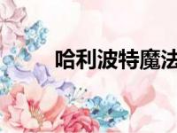 哈利波特魔法学院分院测试全解析